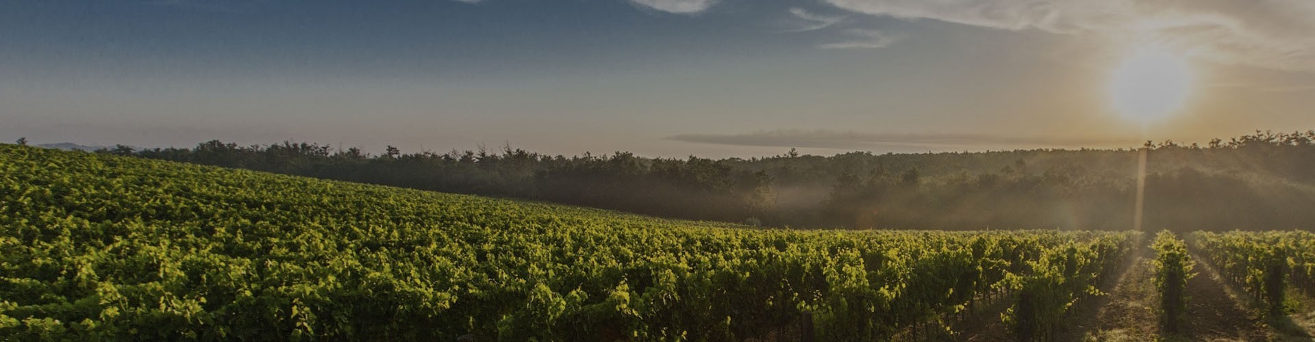Comprar vinos Rioja | Bodegas Najerilla • Tienda online